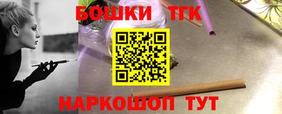 СК Кингисепп