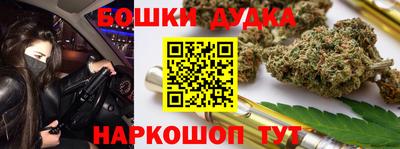 СК Кингисепп