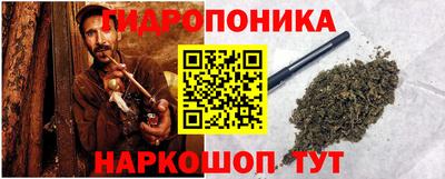 СК Кингисепп