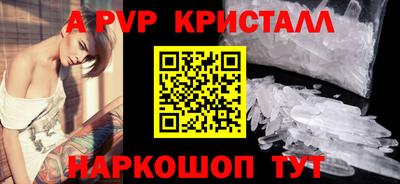 СК Кингисепп