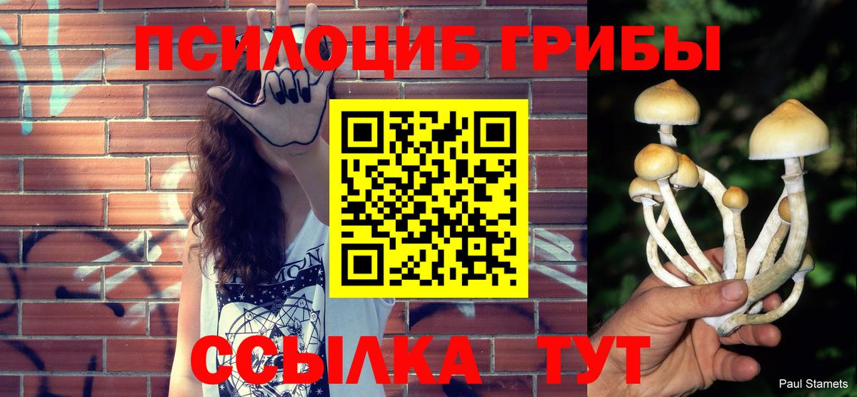 Псилоцибиновые грибы мухоморы Королёв
