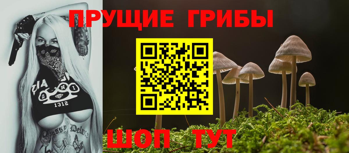 Псилоцибиновые грибы Psilocybe  Вход с VPN  где можно купить наркотик  Королёв 
